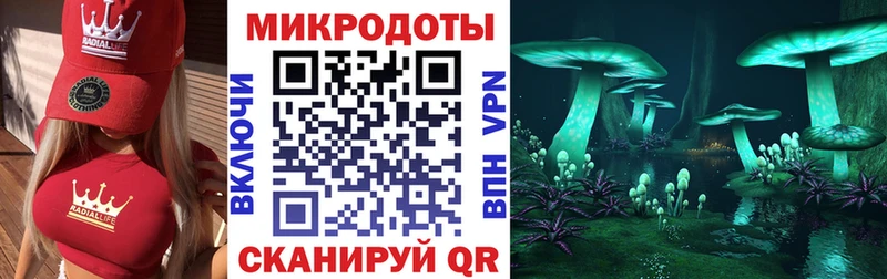 Купить закладки  Кохма  Псилоцибиновые грибы Magic Shrooms 