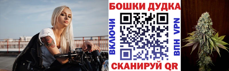 Бошки Шишки гибрид  Купить закладки  Кохма 